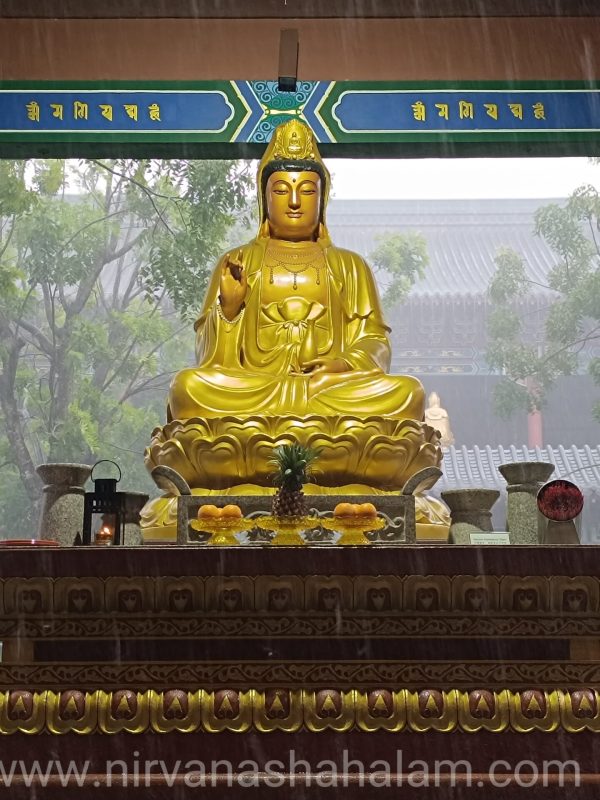 Nirvana Shah Alam Ming Place #5