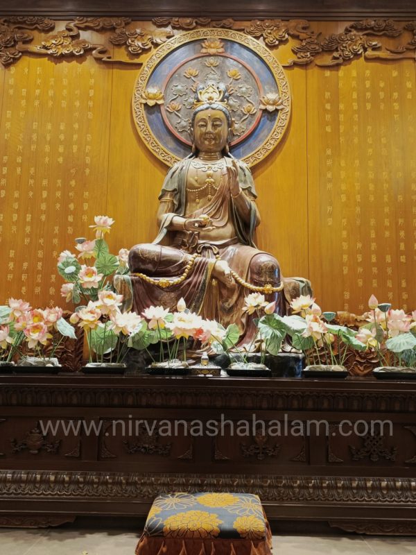 Nirvana Shah Alam Ming Place #7